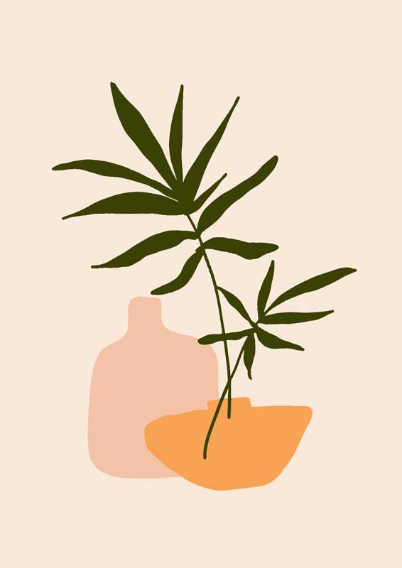亲爱的丈母娘唐玲丽第一章在线阅读